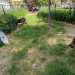Mentre nella zona alta del quartiere, in via Tridente, sarebbe presente una zona dedicata agli animali allinterno del giardinetto Louis Braille: ma si tratta di un fazzoletto di terra poco sufficiente per una minima corsetta, sprovvisto pure di fontanelle